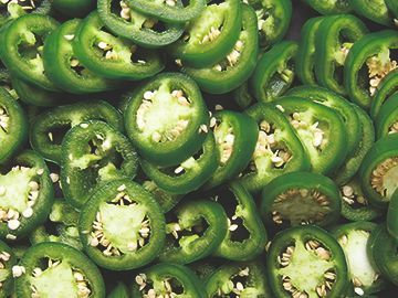 Papryczki Jalapeno