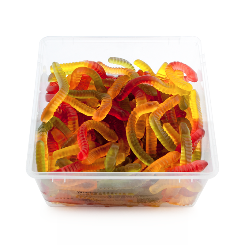 Dżdżownice - box 2 kg